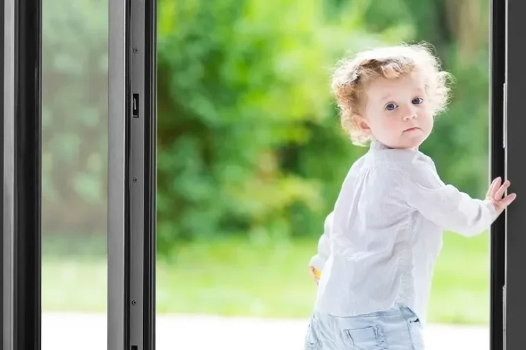 Porte_dentrée_vitrée_en_aluminium_2_vantaux_prefal Porte d'entrée vitrée en aluminium 2 vantaux prefal